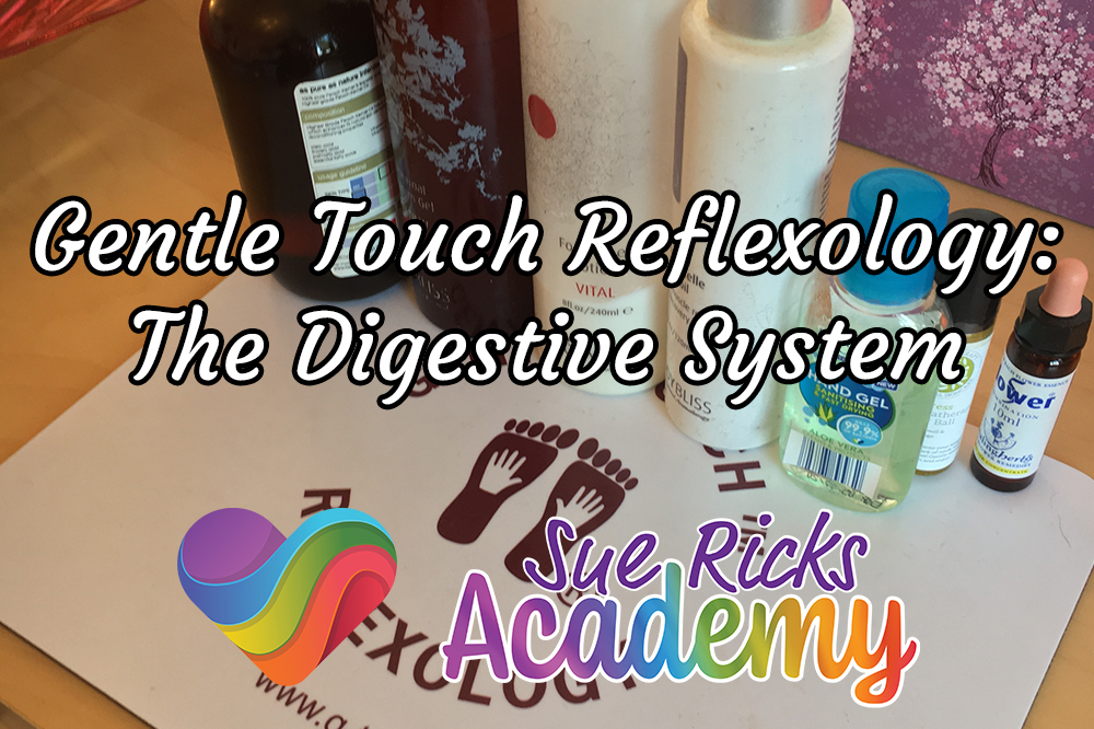Gentle Touch Reflexology - The Digestive System